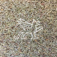 ROSMARINBLÄTTER (FOLIA ROSMARINI)